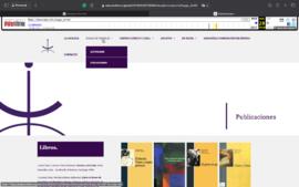 Capturas de pantalla página web 2018 - 20